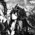 【シャドウバース】アカウントリセット１回で作る強力な無課金エルフ！ローズクイーン紹介の画像