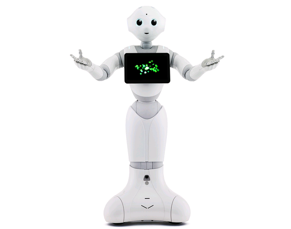 某ペッパーくんですが…