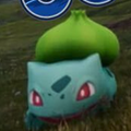 ポケモンGOにハマりすぎたアメリカ人に起こった悲劇！まさかポケモンを集めていたら刺されてしまうなんて！【ポケモン噂の事件簿127】の画像
