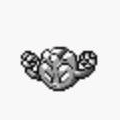 ポケモンの世界では、イシツブテを使ったある遊びが存在するそうですが、それはどんな遊びでしょう?【ポケモン クイズ&トリビア】の画像