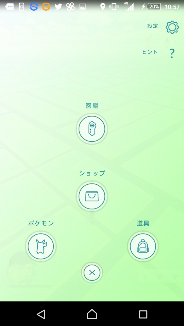 自分のポケモンを見るときの遷移画面の右上に「設定」ボタンがある。
