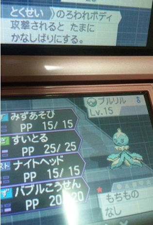 puru2