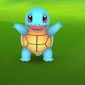 ポケモンGOの保険!?思いも寄らなかったサービスがあの国ではじまった!日本でもそのうち始まるかも?【ポケモン噂の事件簿170】の画像