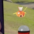 ポケモンGOを禁止していたはずが……！？柔軟な対応にプレイヤー歓喜！西本願寺の心温まるエピソード【ポケモン噂の事件簿145】の画像