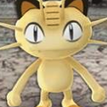 ポケモンGOでポケモンの出現場所を知ることができるとして話題になったけれど、アップデートにより使用不可となったツールはなあに?【ポケモン クイズ&トリビア】の画像