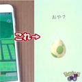 野外で往復30mの孵化装置を設置!結果はいかに!の画像