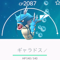 分度器で個体値算出!進化後CP2000のギャラドスに!【ポケモンGO】の画像