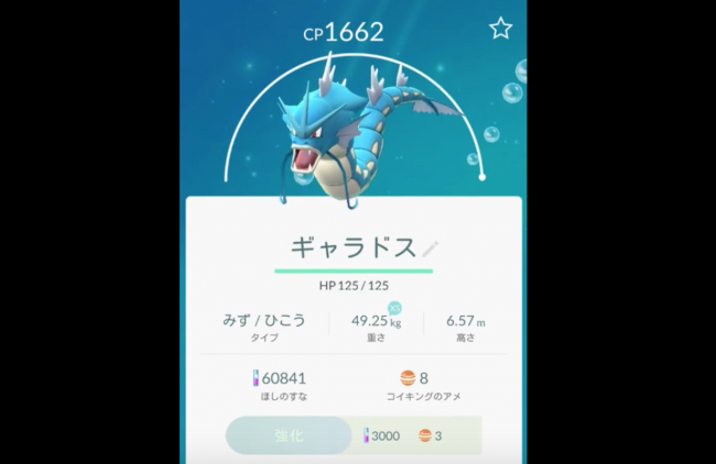動画後半9分