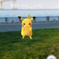 25年ぶりのリーグ優勝をはたした広島カープ！その本拠地広島にて、ポケモンGOにちなんだこんなイベントが！【ポケモン噂の事件簿180】の画像