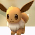 ポケモンGOで、イーブイを相棒ポケモンにすると画面でどのように表示されるでしょうか？【ポケモン クイズ＆トリビア】の画像
