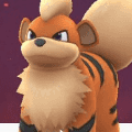 ポケモンGOで、ガーディから進化する高CPを持つポケモンってなあに？【ポケモン クイズ＆トリビア】の画像
