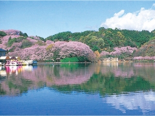 rengeji