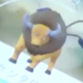 【ポケモンGO】アメリカでケンタロスGETだぜ！サンフランシスコはケンタロスだらけ【MEGWIN TVゲーム部！メテオのゲーム日記】の画像