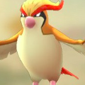 ポケモンGOのピジョットが使えるゲージわざの中で、一番使えるわざはなあに？【ポケモン クイズ＆トリビア】の画像