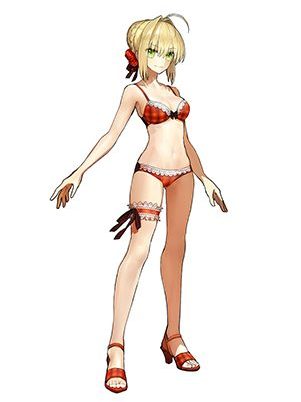 Fate/EXTELLA　サーヴァントミラー　DLC