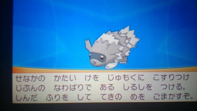 ゲーム　ポケモン　ジグザグマ