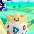 ポケモンGOに新しく追加された、ピチューやトゲピーなどのポケモンの総称はなあに？【ポケモン クイズ＆トリビア】の画像