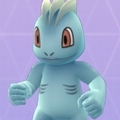 プロレスみたいな名前のつけ方!?海外でのワンリキーの呼び名がグッとくる!【ポケモン噂の事件簿313】の画像