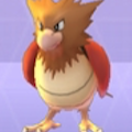 ポケモンGOで、オニスズメを進化させると何になるでしょう？【ポケモン クイズ＆トリビア】の画像
