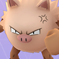 知られざるオコリザルの生態！実はポケモン界の矢吹丈だった！？【ポケモン噂の事件簿303】の画像