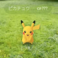 謎のシルエット……その正体は！？ポケモンGOで起こったちょっと奇妙な騒動！【ポケモン噂の事件簿293】の画像