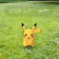 ポケモンGOが日本で配信開始されたのは、いつだった？【ポケモン クイズ＆トリビア】の画像