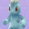 【ポケモン】ポケモンのワンリキーは、アメリカではなんという名前で呼ばれている？【ポケモン クイズ＆トリビア】の画像