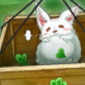 【遊戯王DL】BOXヴァルキリーズレイジのレッカーパンダの相性の良いカードを大紹介いたします!!の画像
