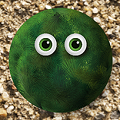 【パズル×育成】極小1mmのキャラを画面からはみ出るまで育てるゲーム！？ iOS用アプリ『タマタマ』配信開始！の画像