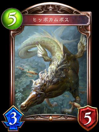B評価ヒッポカムポス