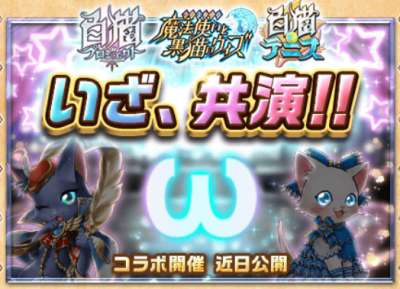 白猫・黒猫・白テニコラボ
