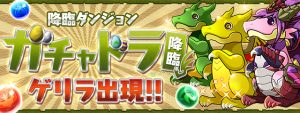 ガチャドライベント