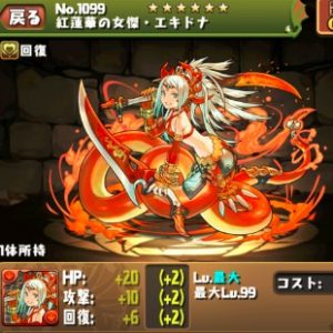 通常エキドナ