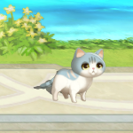 ラウラ・ドームねこ1