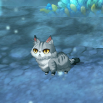 コリンダ原ねこ2