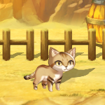 ザルボーねこ1