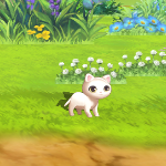 チャロル草原ねこ2