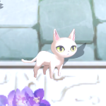 アクトゥールネコ1