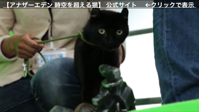 アナデンCM2