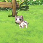 ヌアル平原ねこ2