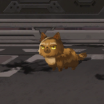 廃道99ねこ1