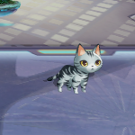 ガンマ区画マップねこ