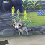 セレナ海岸ねこ3