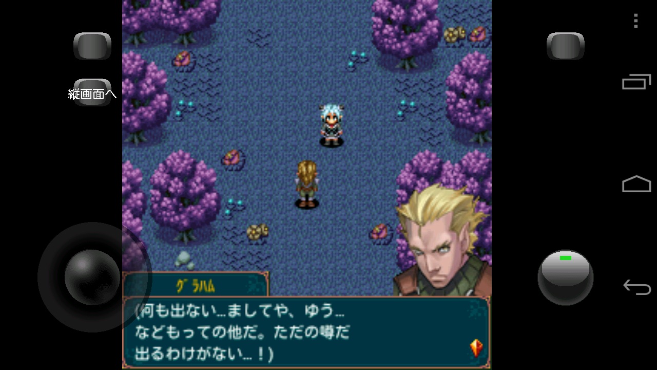 クイーンディグニティ androidアプリスクリーンショット2