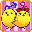 ひよこ仕分けのアプリアイコン
