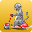 ドキ!水着ねこのアプリアイコン
