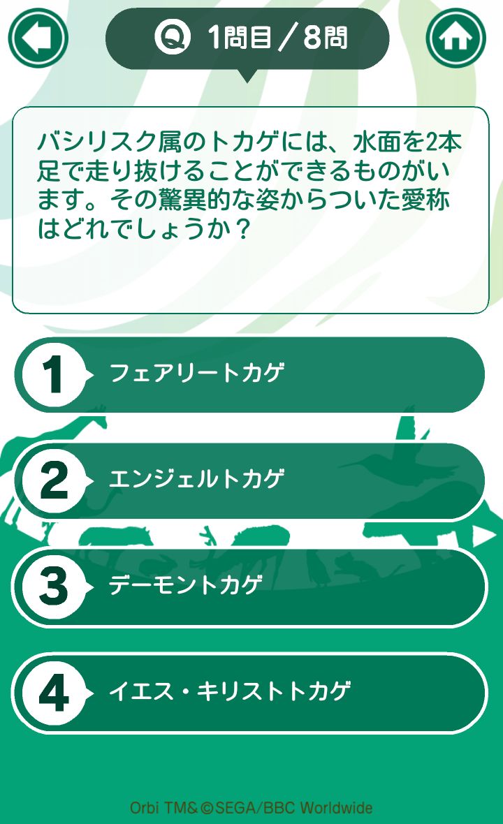 androidアプリ Orbi クイズで図鑑をつくろう！攻略スクリーンショット2