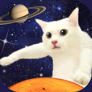 のびねこの画像