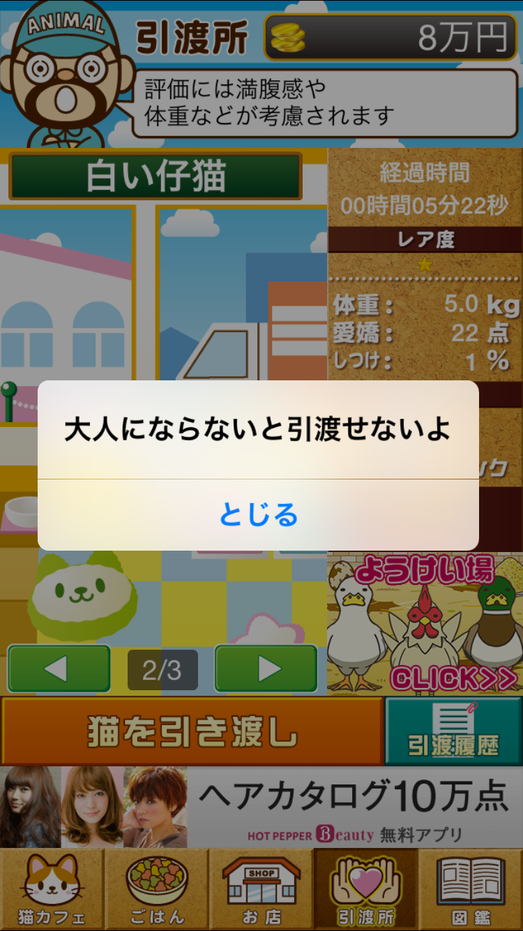 androidアプリ ねこカフェ~猫を育てる楽しい育成ゲーム~攻略スクリーンショット6