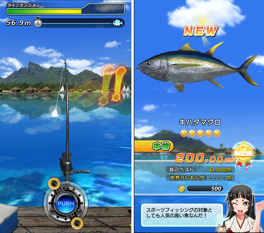 サカナコネクション androidアプリスクリーンショット1